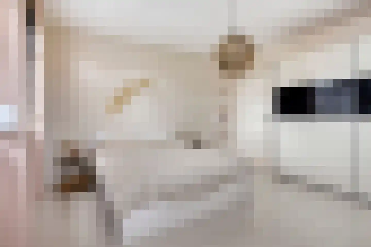 Steigerschuit 5 Breskens thumbnail 34