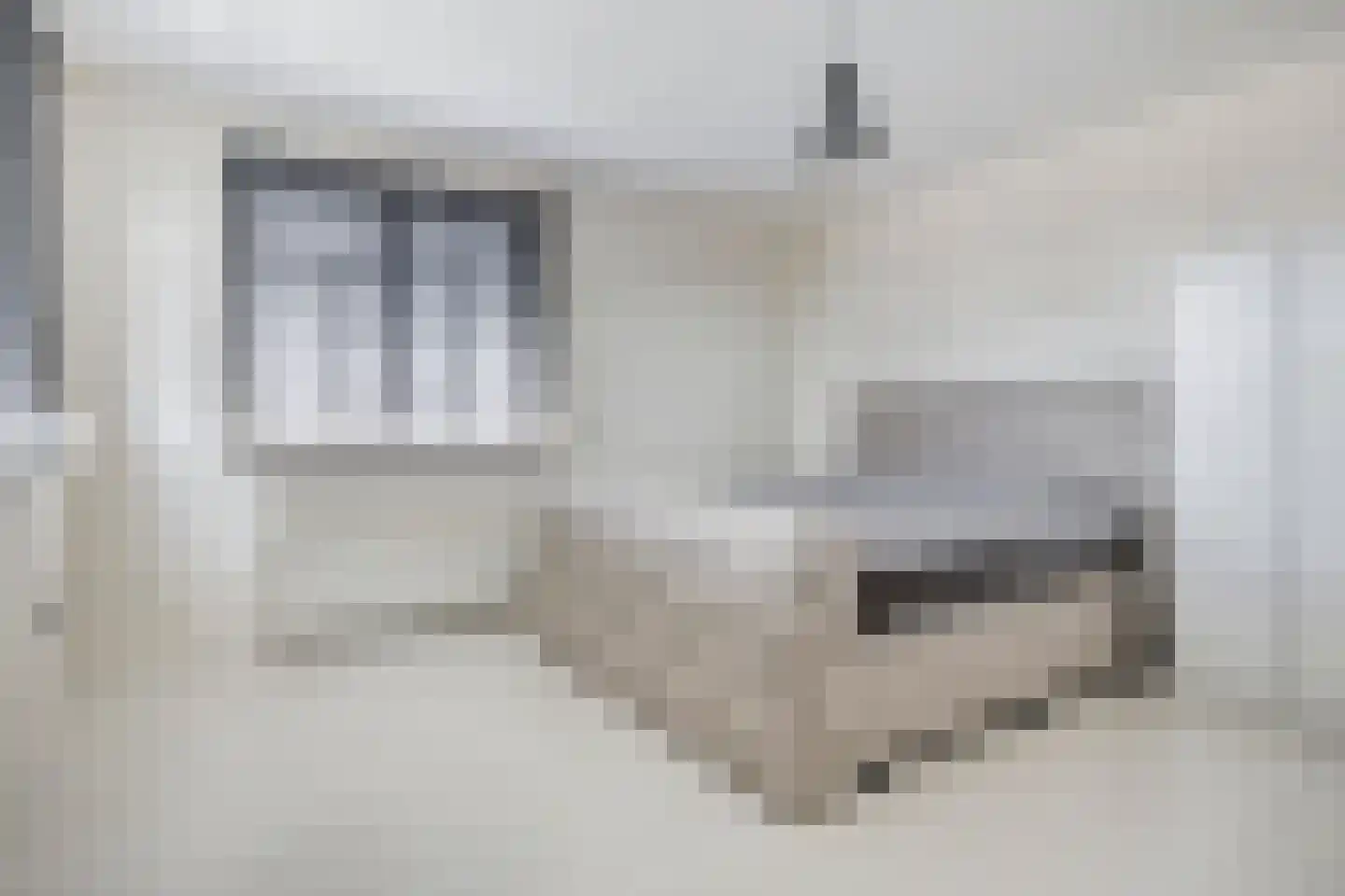 Steigerschuit 5 Breskens thumbnail 35