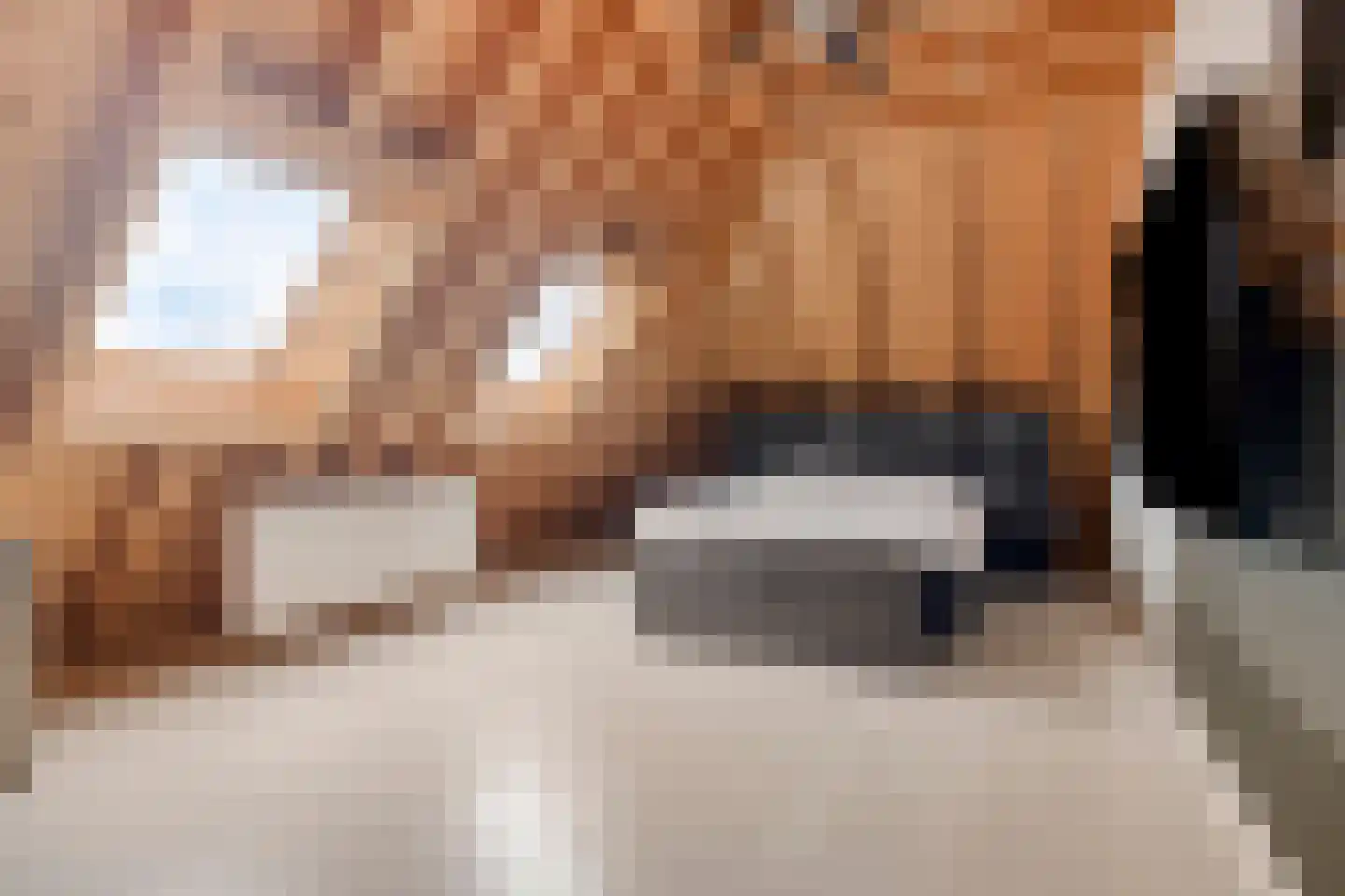 Steigerschuit 5 Breskens thumbnail 43