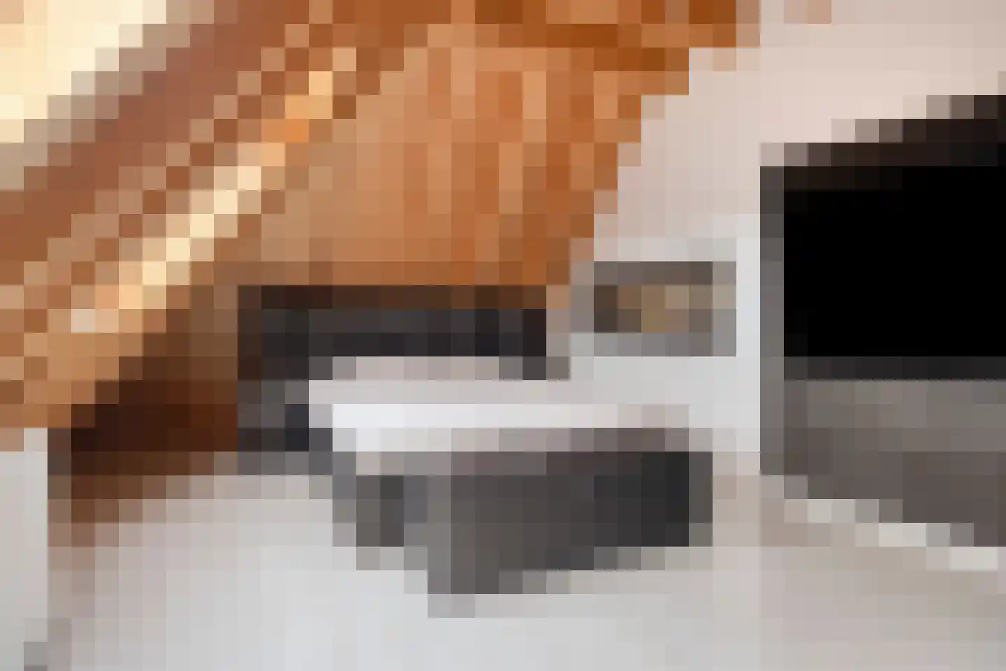Steigerschuit 5 Breskens thumbnail 44