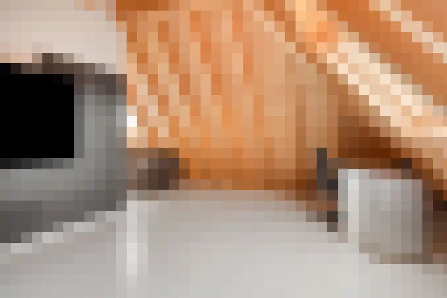 Steigerschuit 5 Breskens thumbnail 45