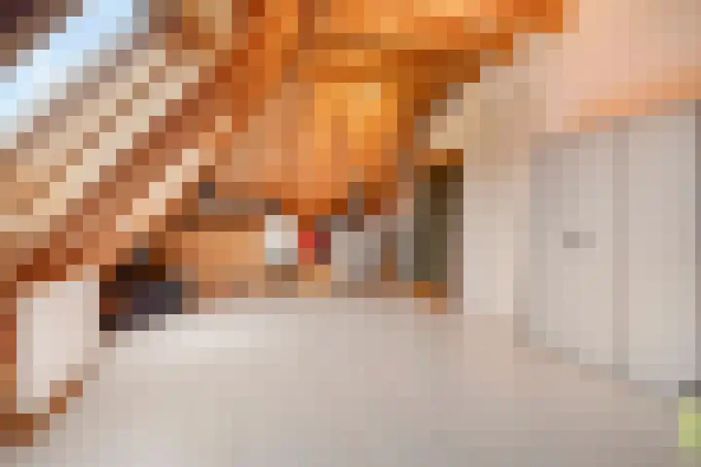 Steigerschuit 5 Breskens thumbnail 46
