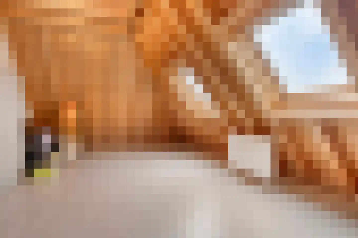 Steigerschuit 5 Breskens thumbnail 47