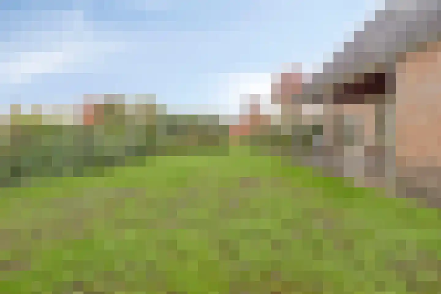 Steigerschuit 5 Breskens thumbnail 51