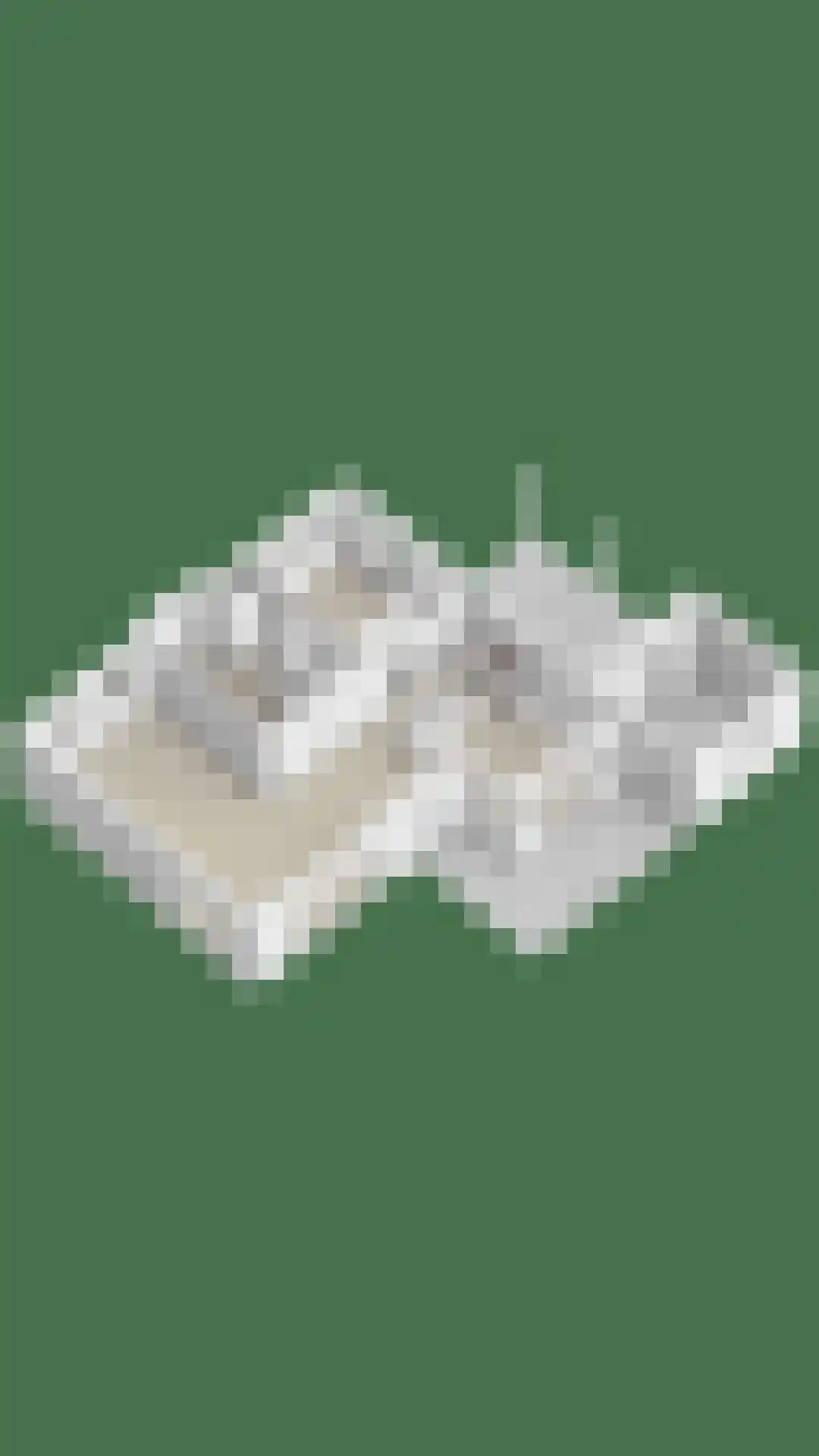 Steigerschuit 5 Breskens thumbnail 58