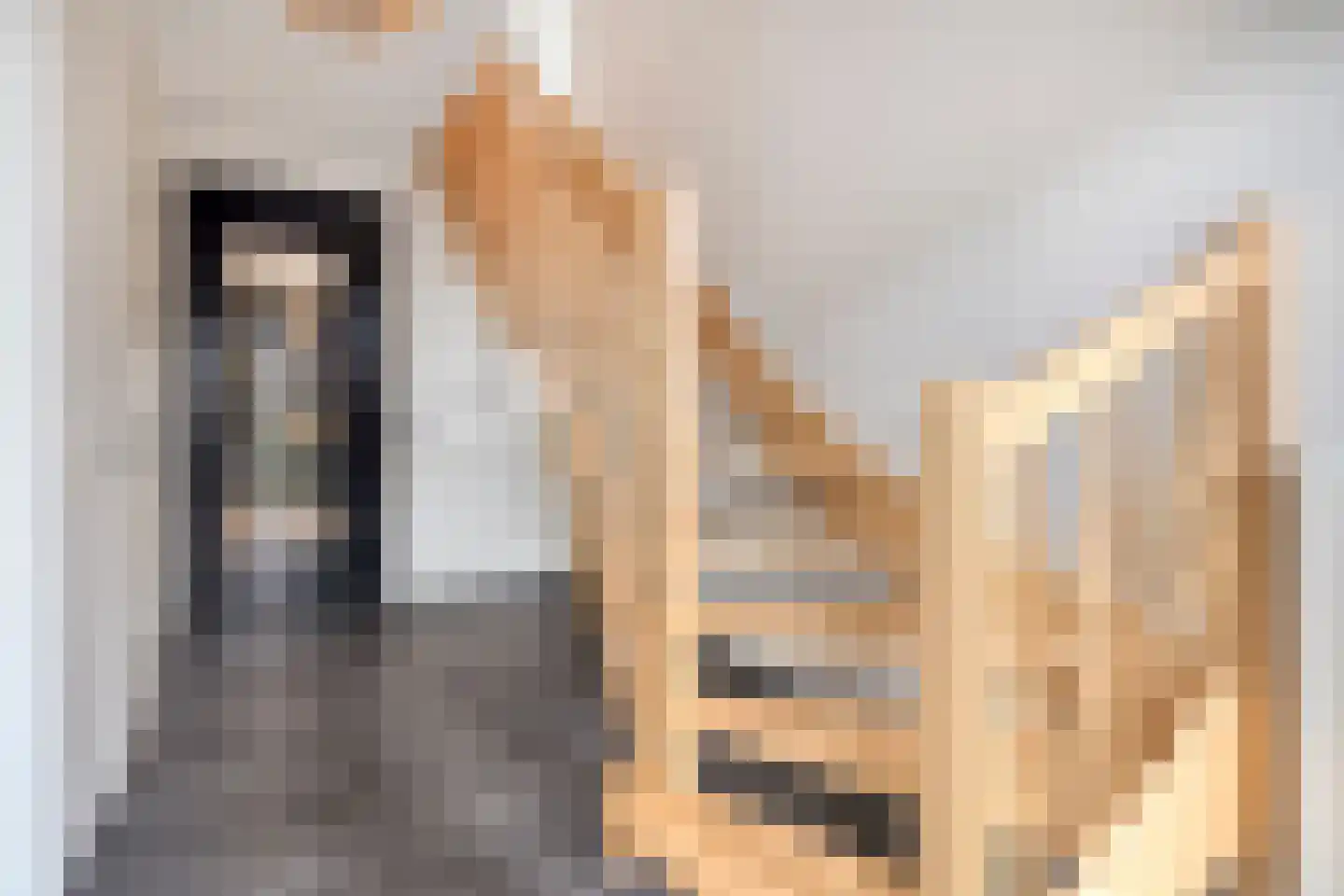 Steigerschuit 5 Breskens thumbnail 9
