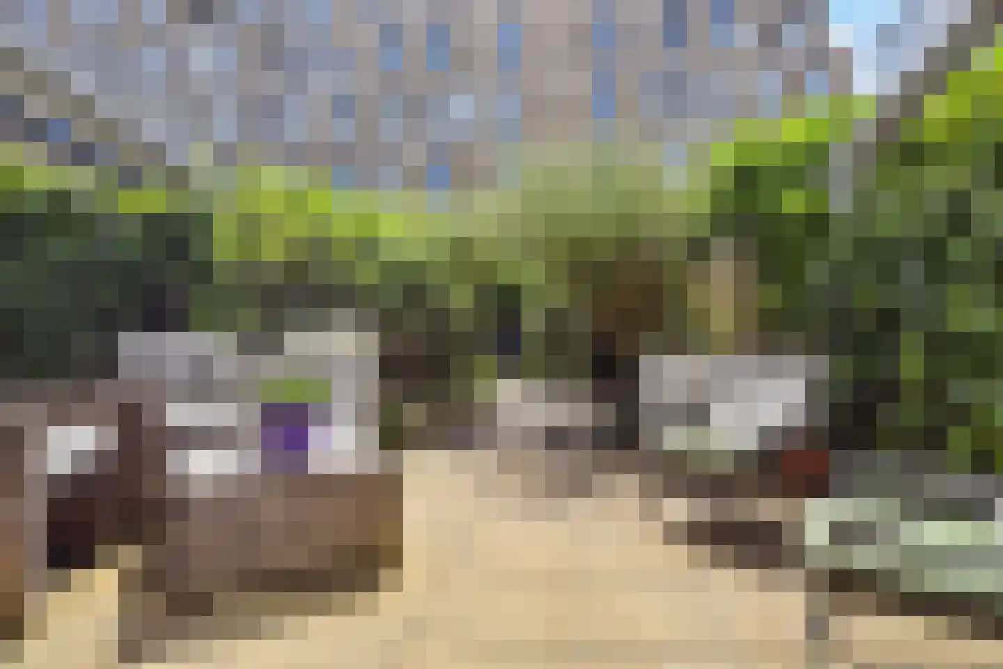 Steigerstraat 16 Den Haag thumbnail 21