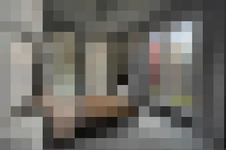 Steigerstraat 22 Den Haag thumbnail 20