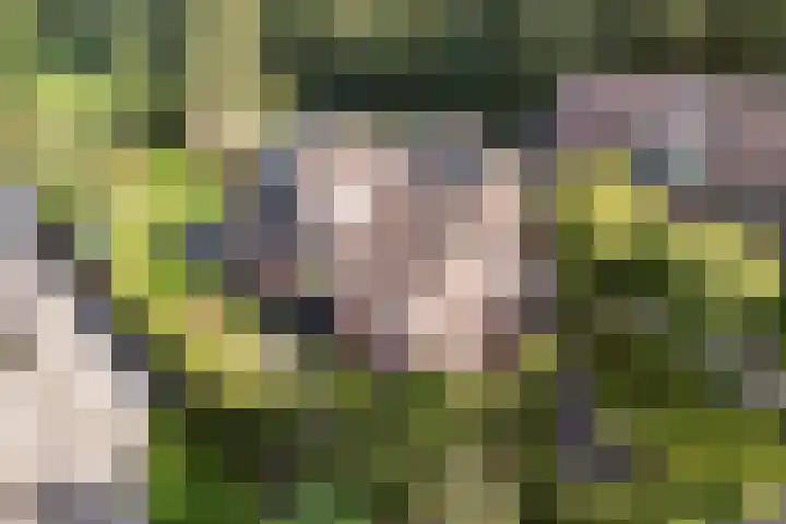 Steigerwijk 35 in Nieuwlande