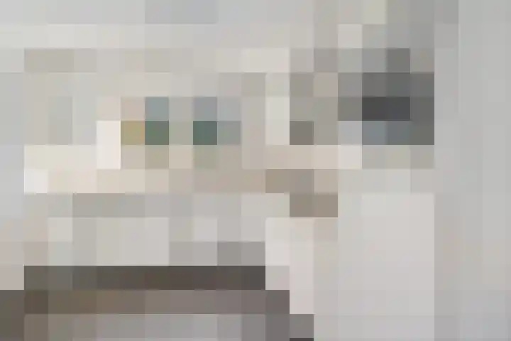 Steigerwijk 35 Nieuwlande thumbnail 21