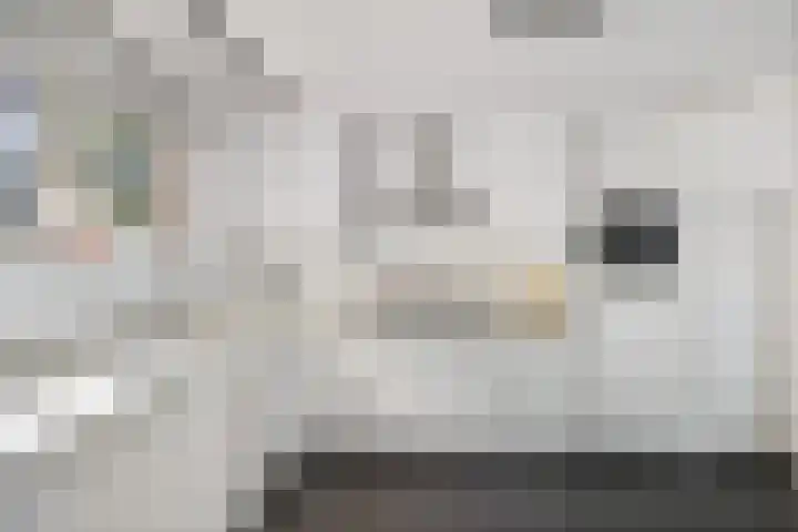 Steigerwijk 35 Nieuwlande thumbnail 22