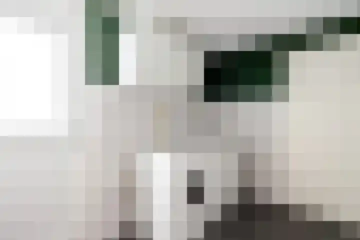 Steigerwijk 35 Nieuwlande thumbnail 23