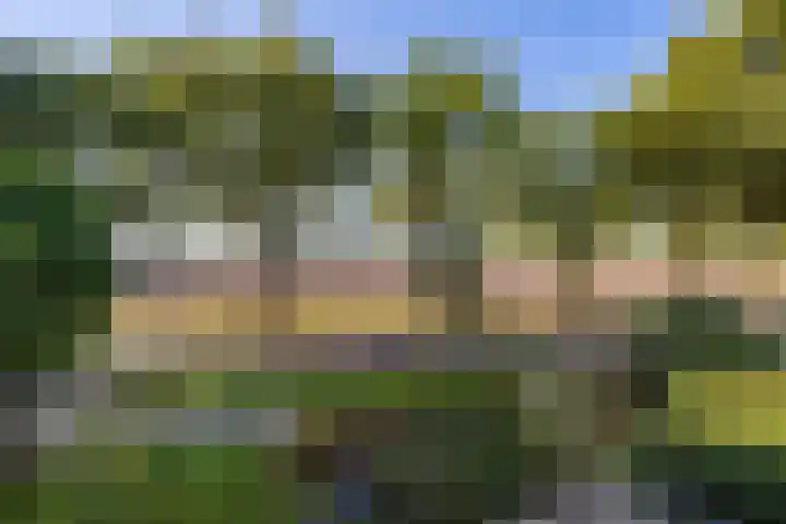Steigerwijk 35 Nieuwlande thumbnail 32