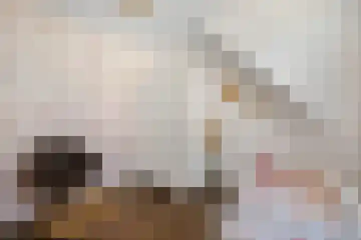 Steigerwijk 35 Nieuwlande thumbnail 39