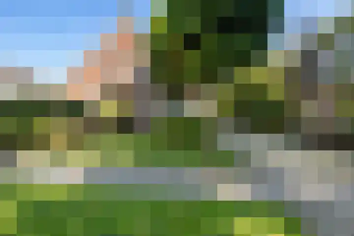 Steigerwijk 35 Nieuwlande thumbnail 4