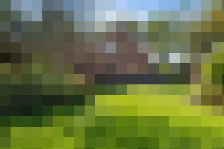 Steigerwijk 35 Nieuwlande thumbnail 42