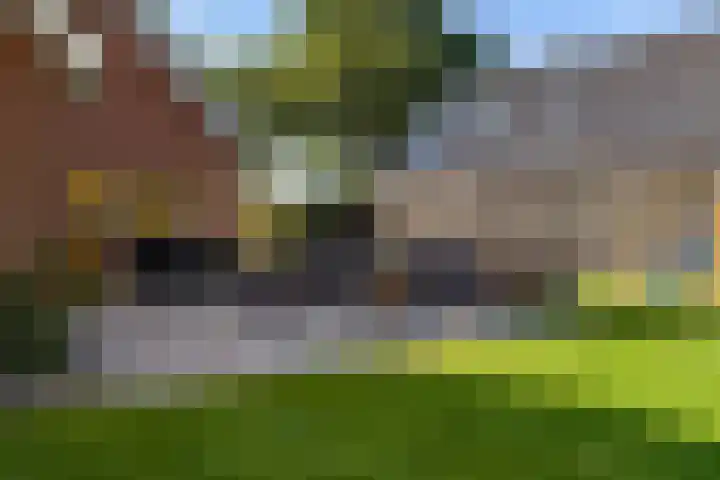Steigerwijk 35 Nieuwlande thumbnail 43