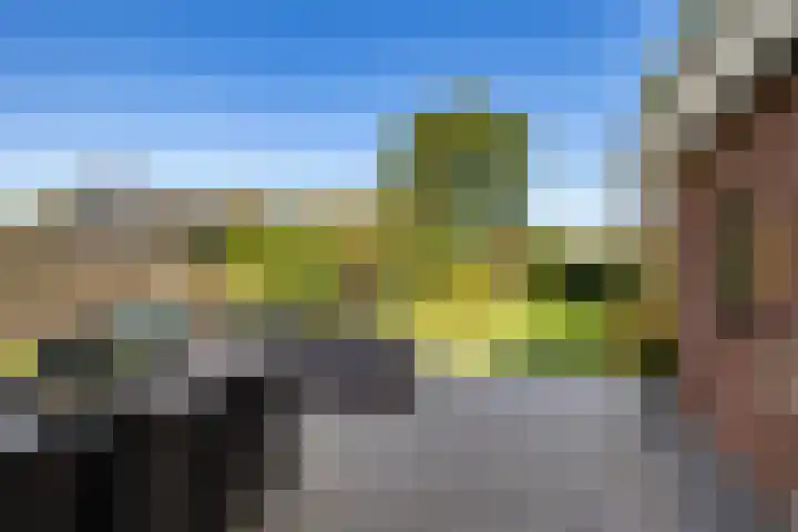 Steigerwijk 35 Nieuwlande thumbnail 44