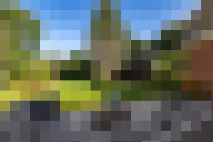 Steigerwijk 35 Nieuwlande thumbnail 45