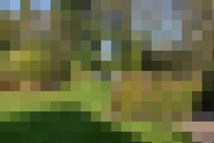 Steigerwijk 35 Nieuwlande thumbnail 47