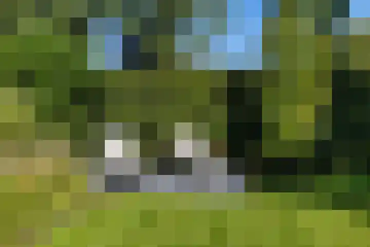 Steigerwijk 35 Nieuwlande thumbnail 48