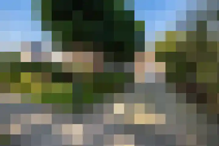 Steigerwijk 35 Nieuwlande thumbnail 50