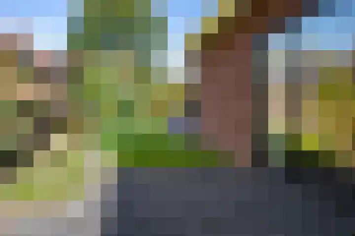 Steigerwijk 35 Nieuwlande thumbnail 55