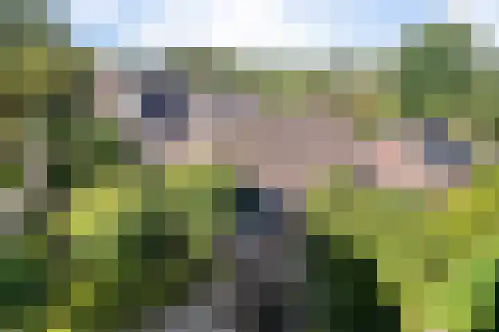 Steigerwijk 35 Nieuwlande thumbnail 58