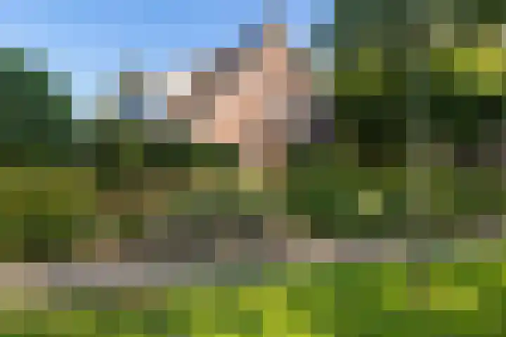 Steigerwijk 35 Nieuwlande thumbnail 6