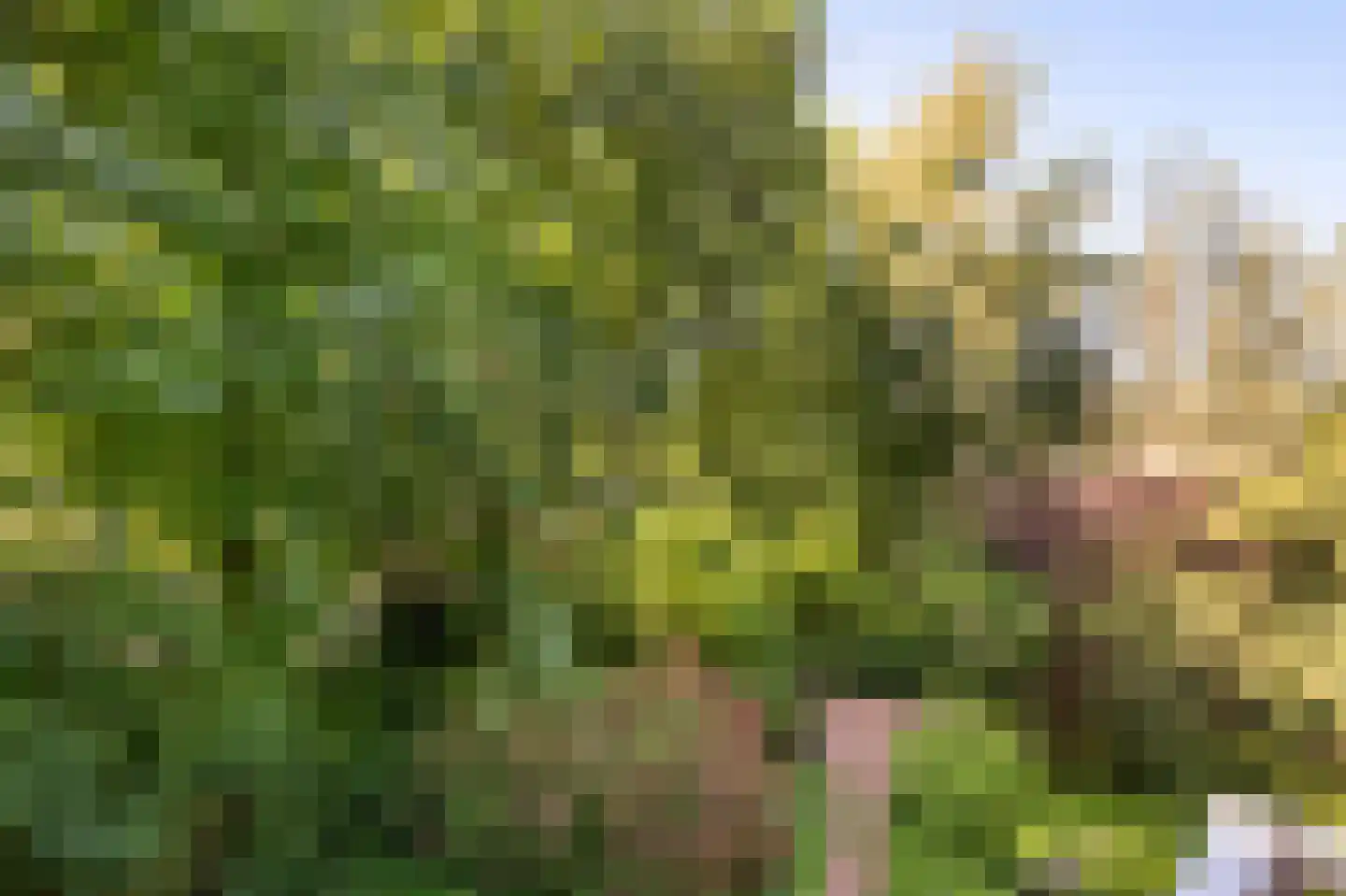 Steijnlaan 13 A Hilversum thumbnail 11