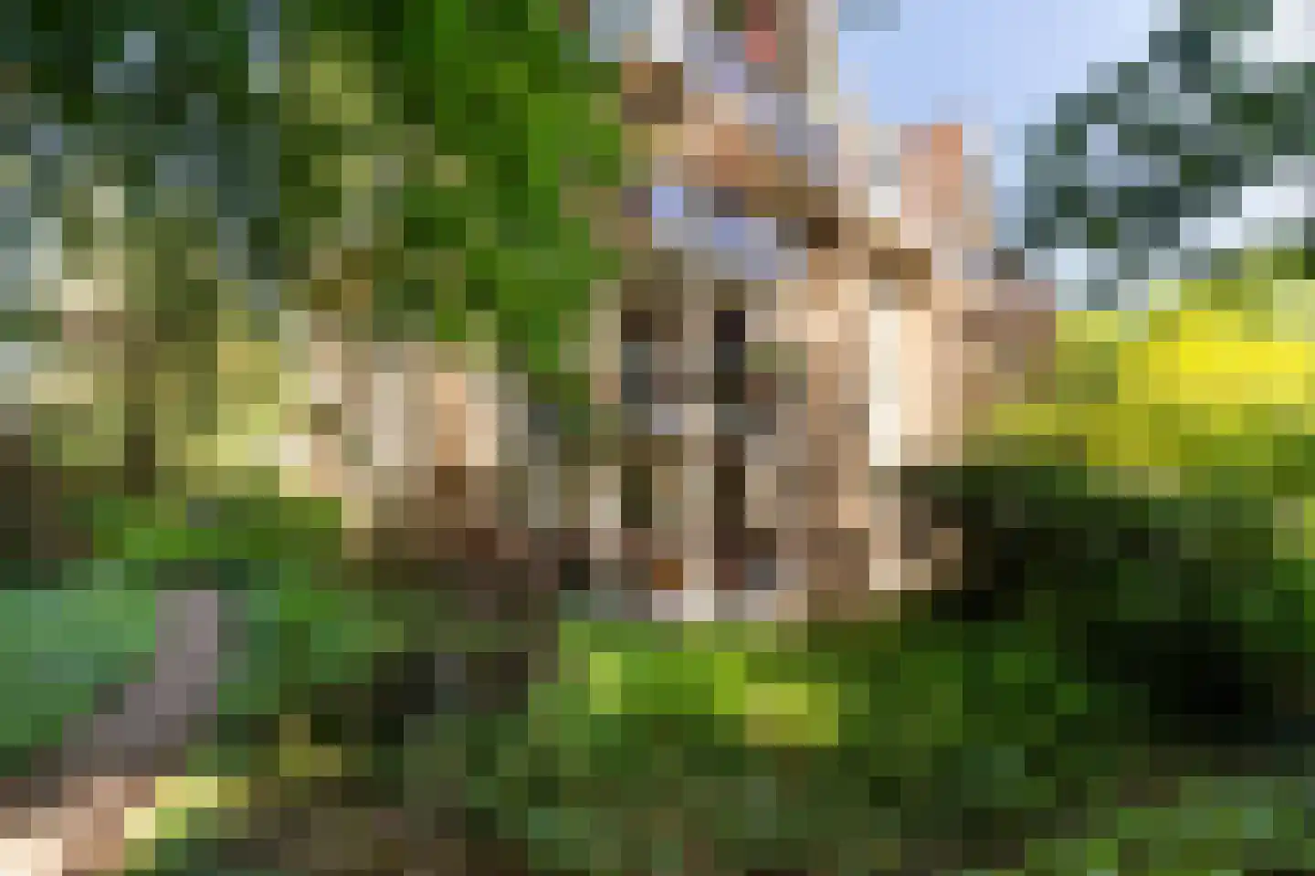 Steijnlaan 13 A Hilversum thumbnail 20