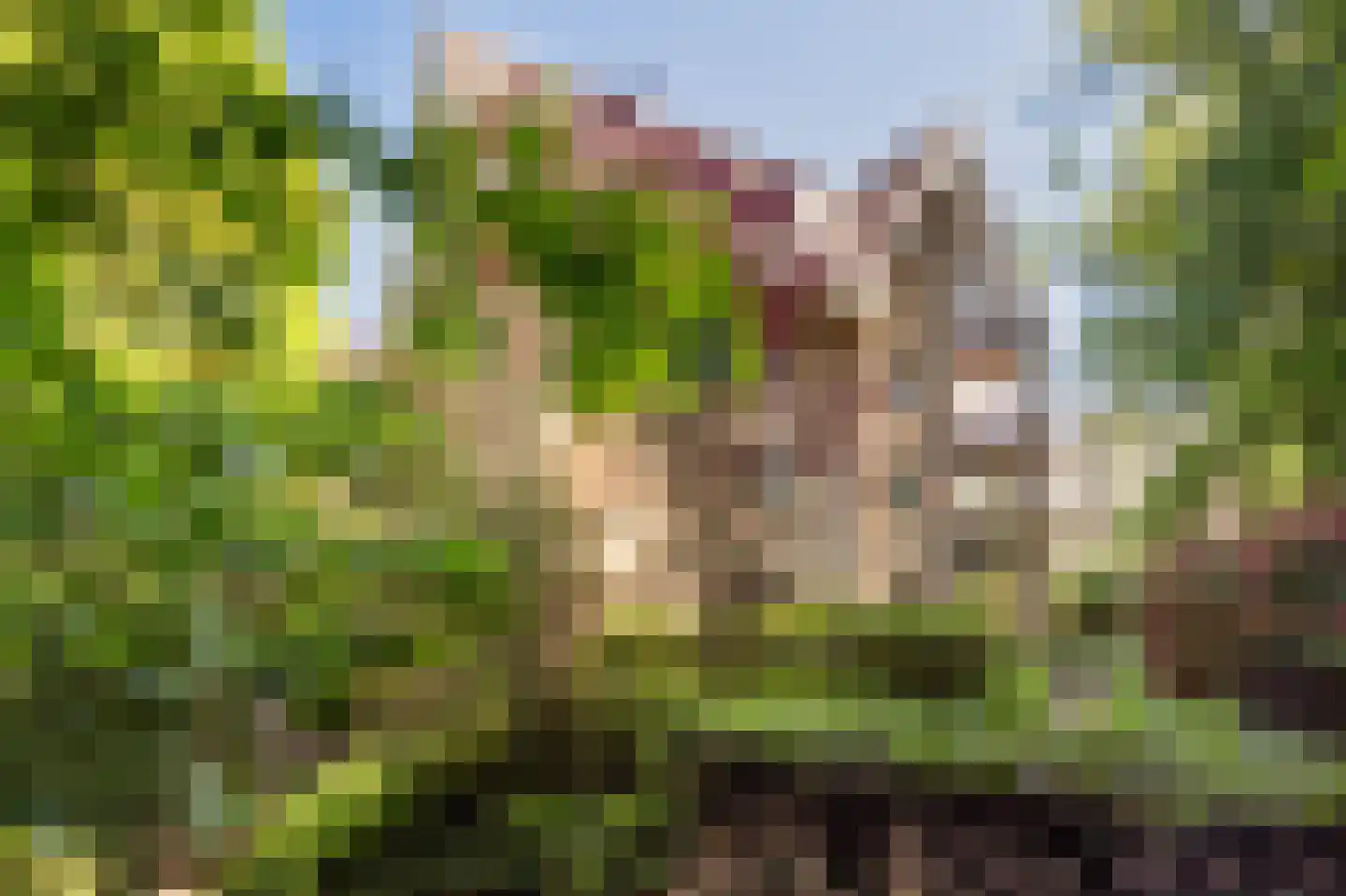 Steijnlaan 13 A Hilversum thumbnail 24