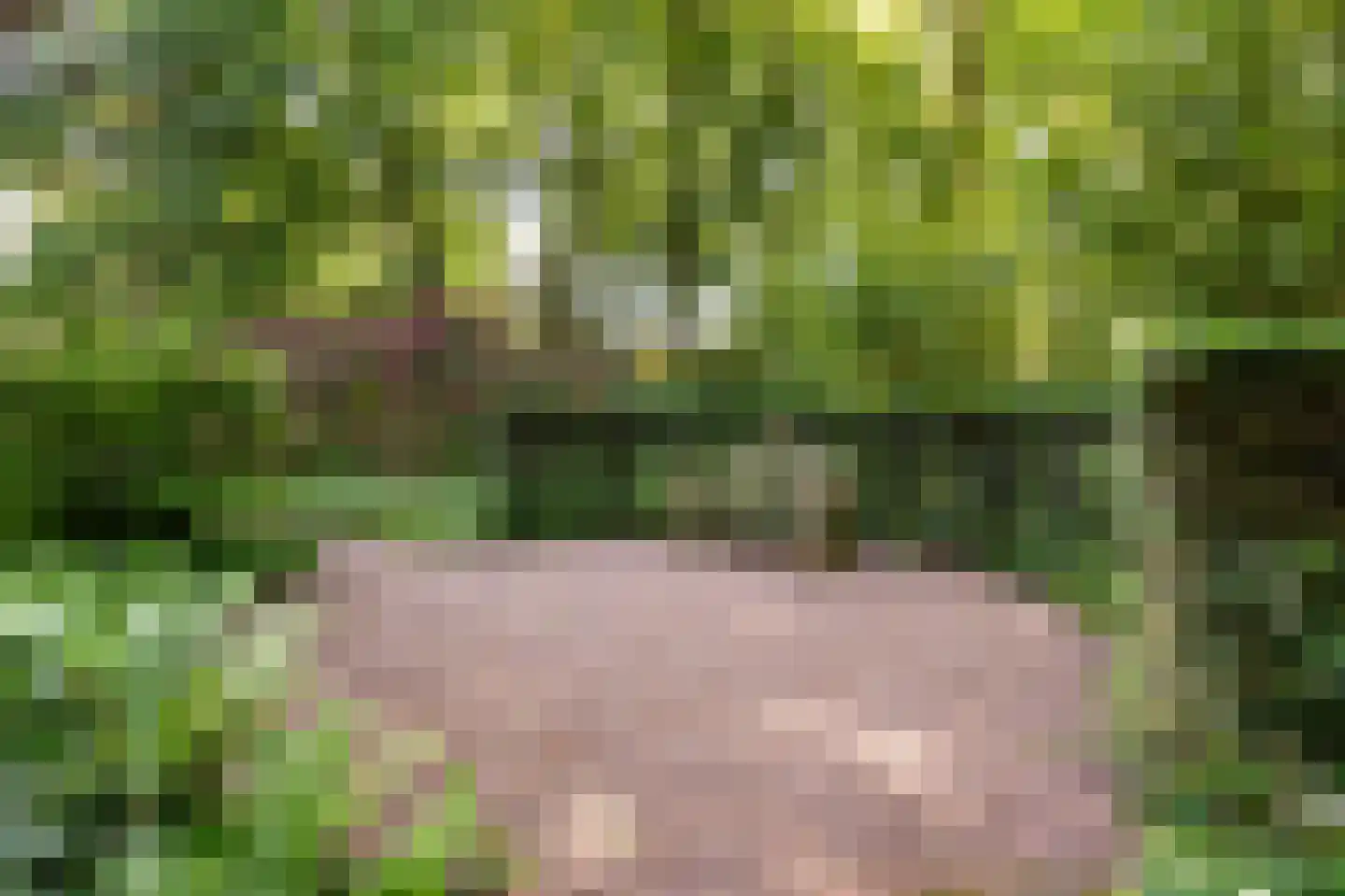 Steijnlaan 13 C Hilversum thumbnail 22