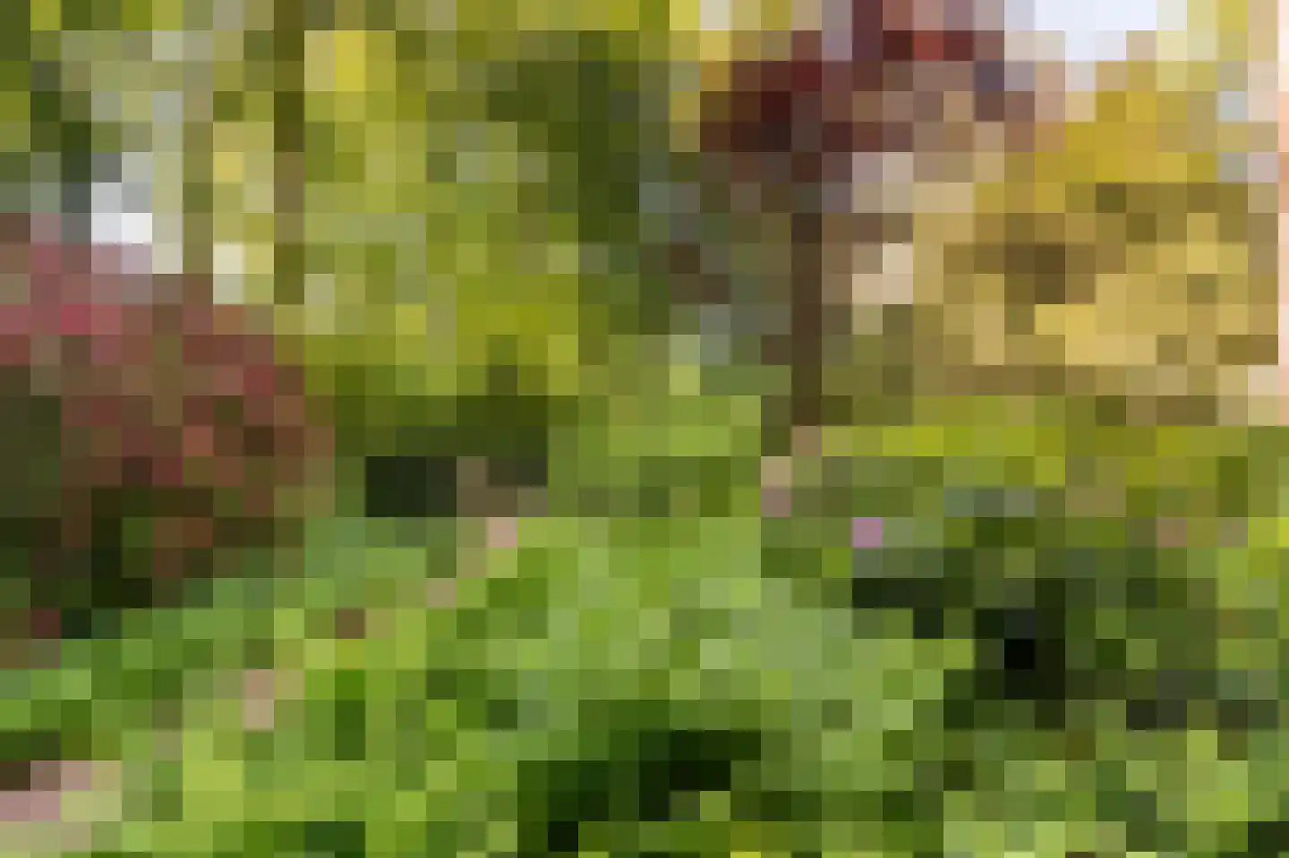 Steijnlaan 13 C Hilversum thumbnail 23