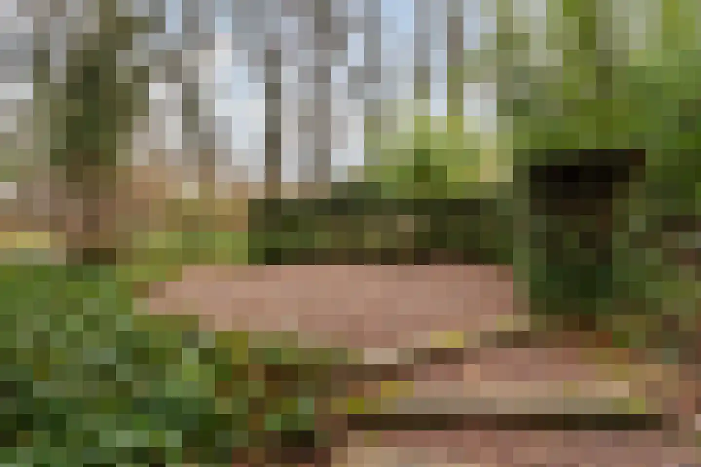 Steijnlaan 13 G Hilversum thumbnail 20