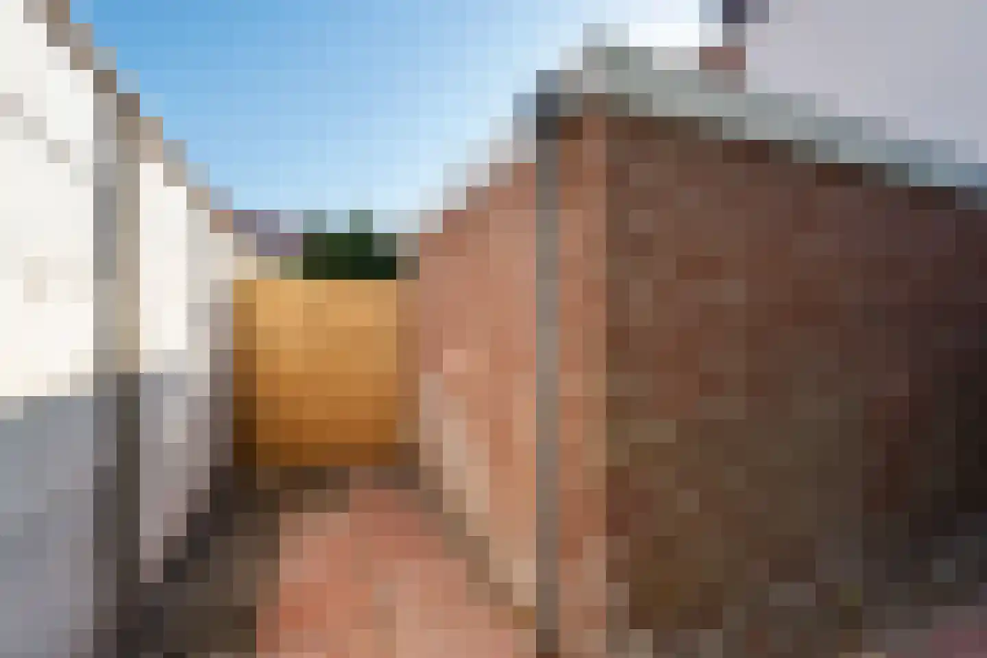 Steijnlaan 139 Den Haag thumbnail 30