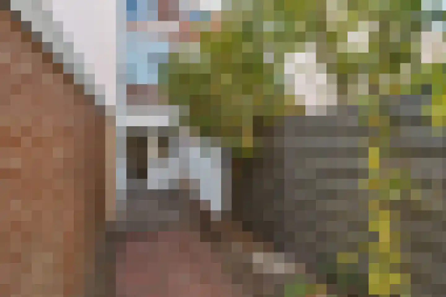 Steijnlaan 139 Den Haag thumbnail 31