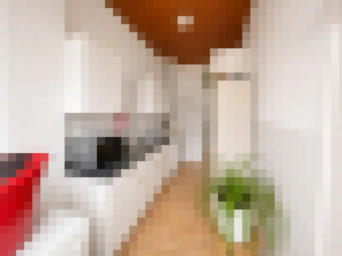 Steijnlaan 163 Den Haag thumbnail 6