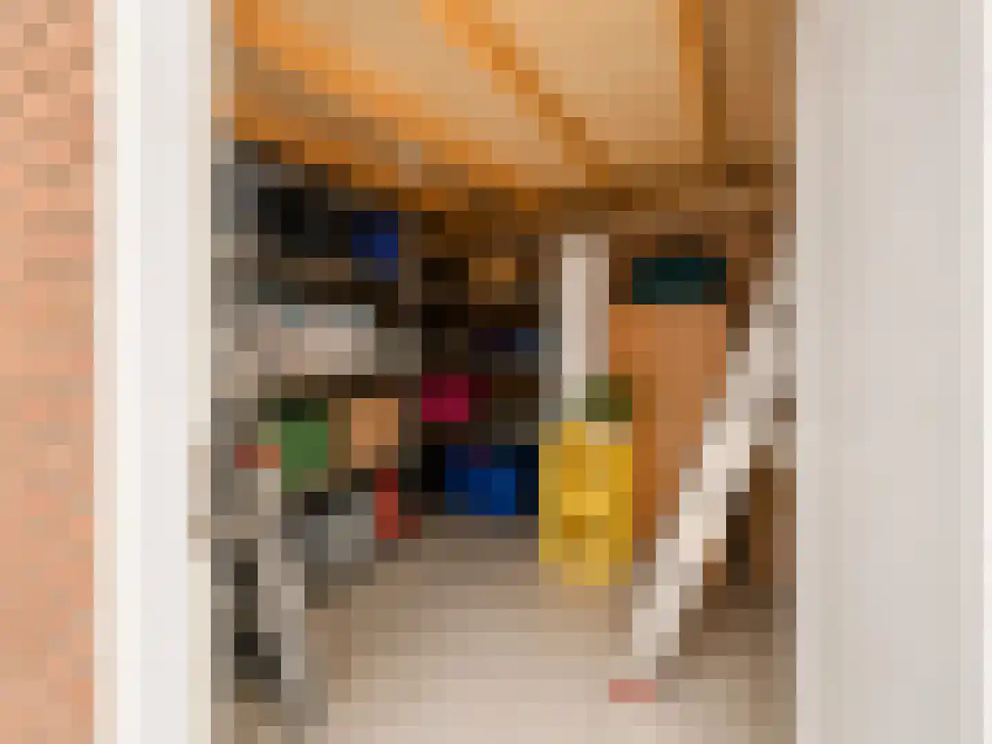 Steijnlaan 163 Den Haag thumbnail 9