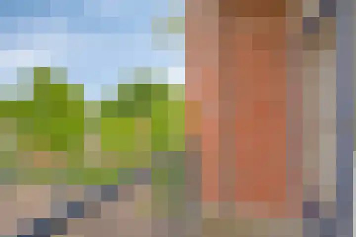 Steijnlaan 25 B Breda thumbnail 10