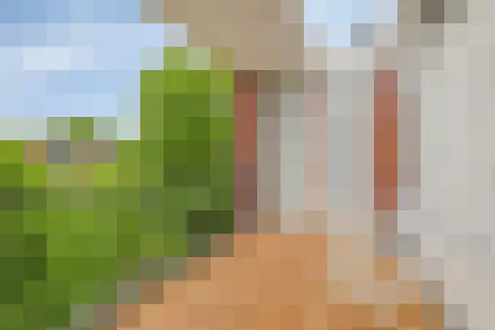 Steijnlaan 25 B Breda thumbnail 12