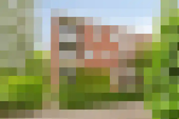 Steijnlaan 25 B Breda thumbnail 27