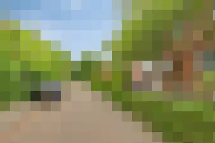Steijnlaan 25 B Breda thumbnail 28