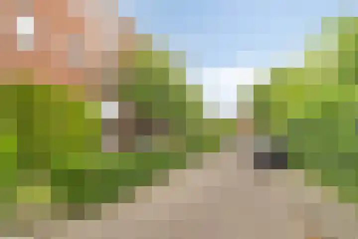 Steijnlaan 25 B Breda thumbnail 29