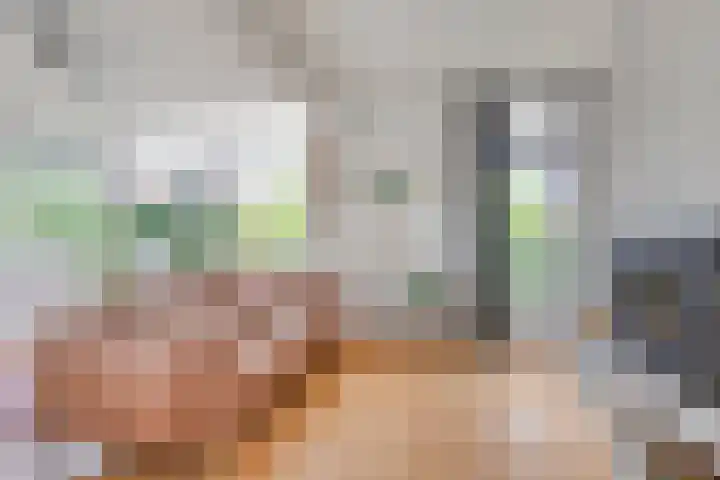 Steijnlaan 25 B Breda thumbnail 5