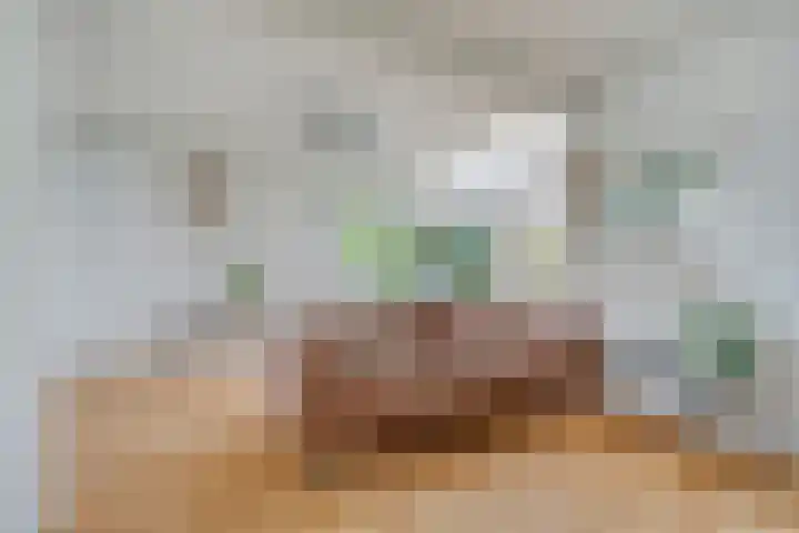 Steijnlaan 25 B Breda thumbnail 6