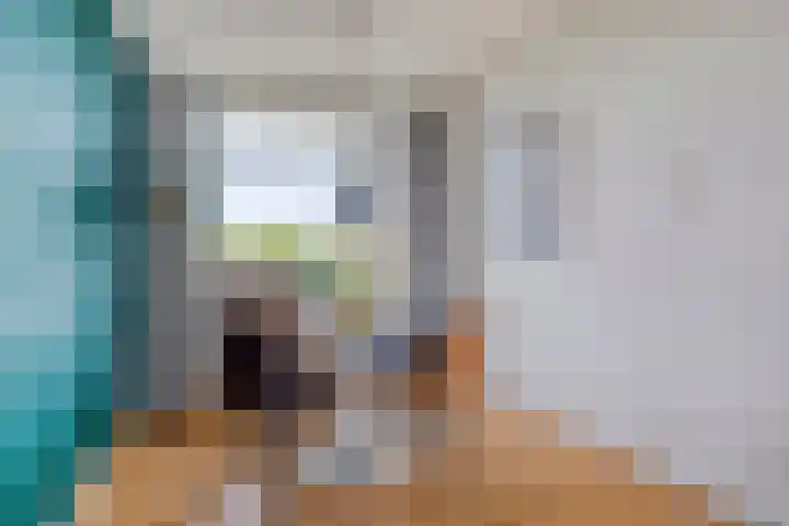 Steijnlaan 25 B Breda thumbnail 8