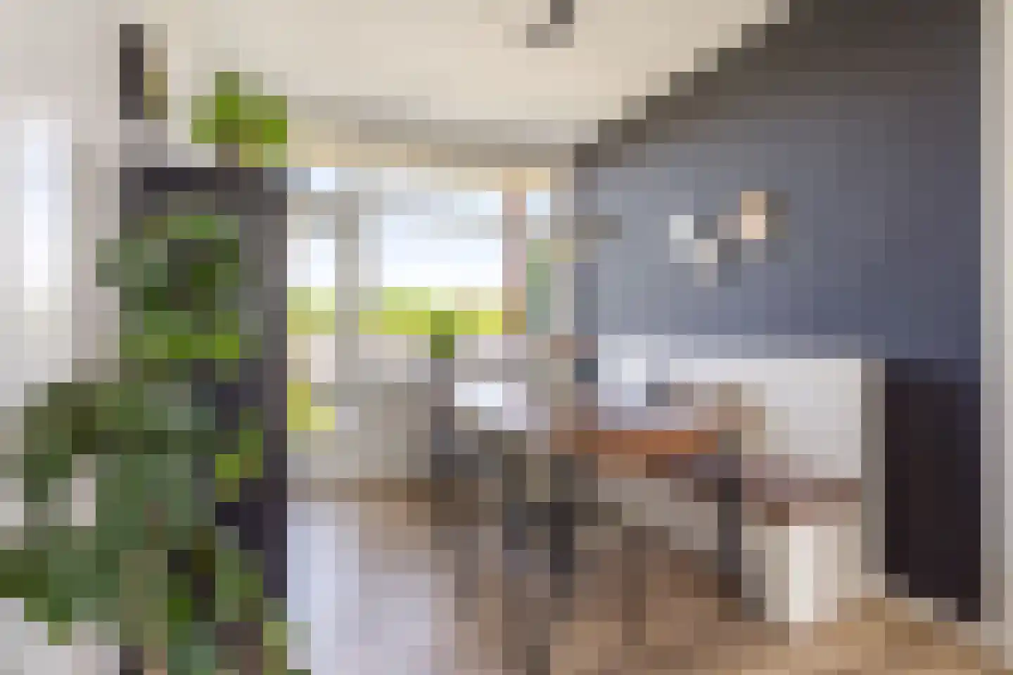 Steijnlaan 27 B Breda thumbnail 13