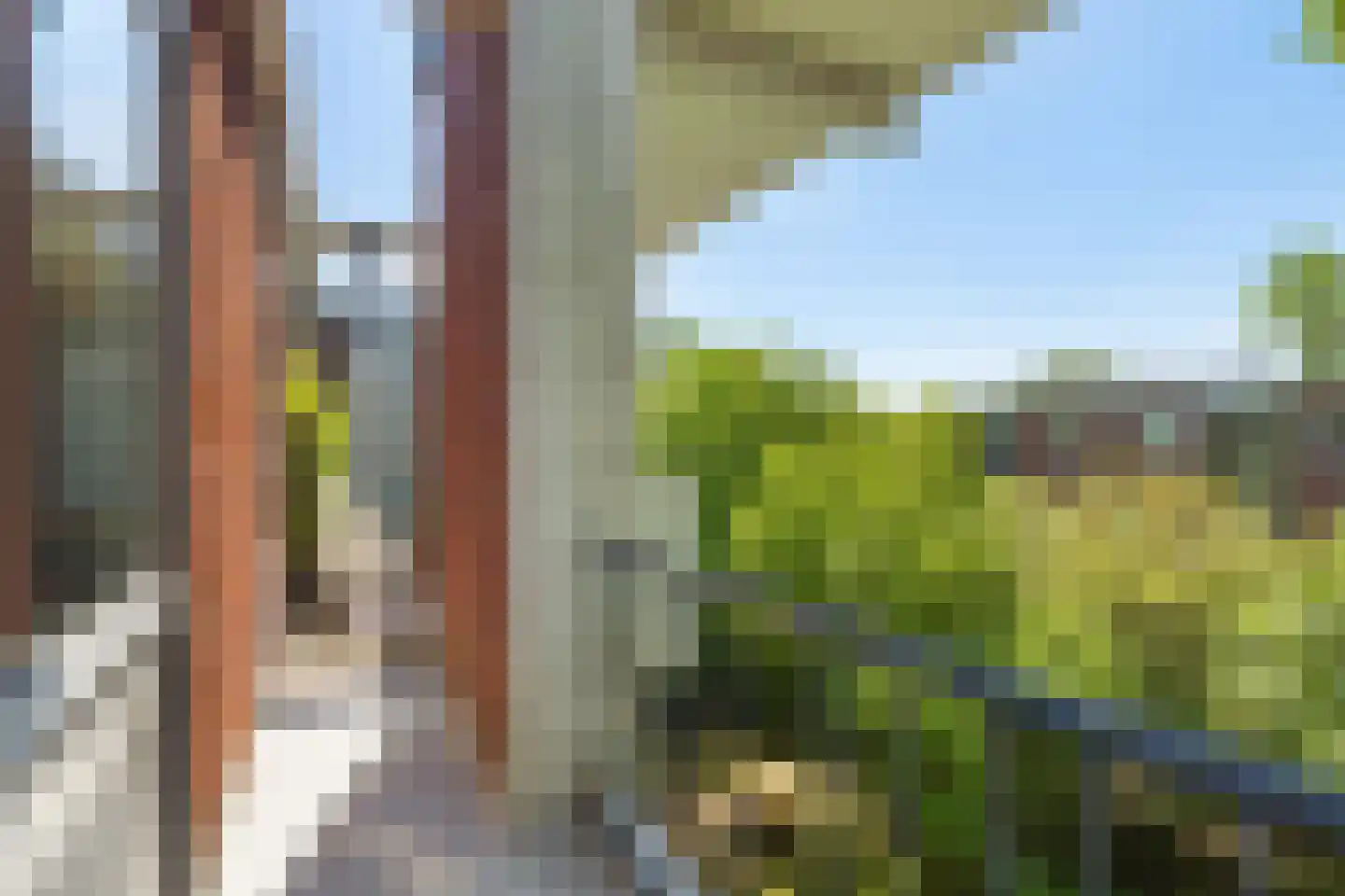 Steijnlaan 27 B Breda thumbnail 22