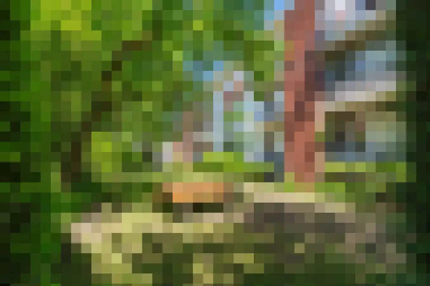Steijnlaan 27 B Breda thumbnail 35